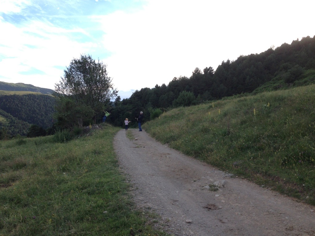 20130731-062421.jpg